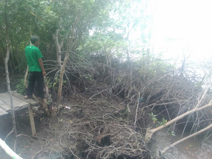 Bandar Bakau Dumai Tergerus Oleh Waktu