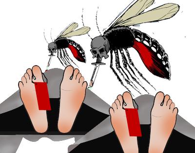 Akibat DBD, Dua Warga di Riau Meninggal Dunia