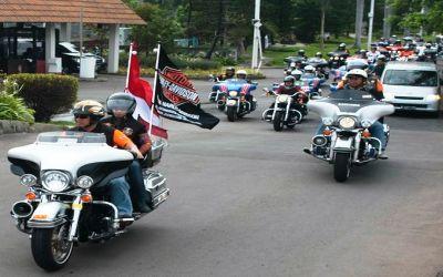 6 Moge Asyik Dikendarai Rider Jangkung 