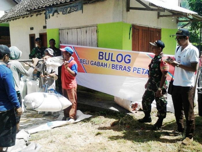 TNI Pantau Dan Maksimalkan Serapan Gabah Di Inhil
