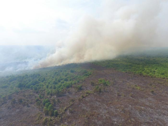 20 Hektare Lahan Di Teluk Meranti Pelalawan Terbakar