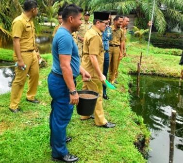 Walikota Dumai Tinjau Tambak Ikan Air Tawar