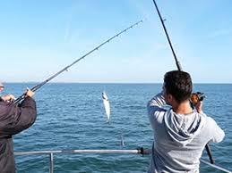 Ivent Pariwisata Riau, Dumai Bakal Gelar Lomba Mancing