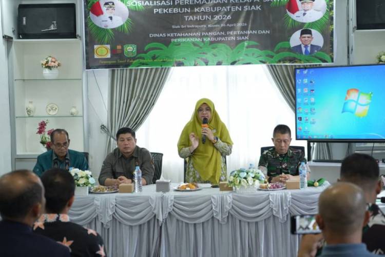 Ekonomi Siak Bertumpu Sawit dan Industri, Bupati Afni Dorong PSR Jadi Solusi