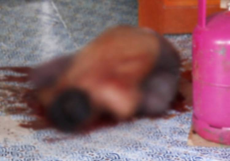 Pria di Bengkalis Tewas Bersimbah Darah, Diduga Korban Pembunuhan dan Perampokan