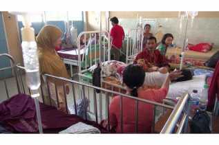 Tercatat 302 Kasus DBD Di Pekanbaru 