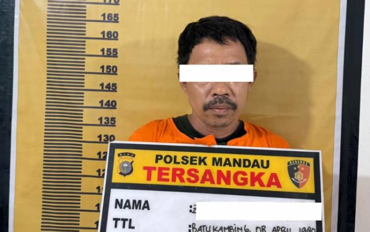 Cekcok Soal Izin Berjualan Berujung Dugaan KDRT di Duri Barat