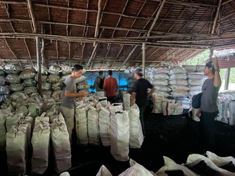 Sikat Mafia Mangrove di Meranti, Polisi Amankan 100 Ton Arang Ilegal Siap Ekspor