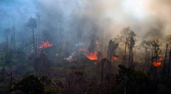 Petugas Berjibaku Padamkan Kebakaran Hutan Di Rohil