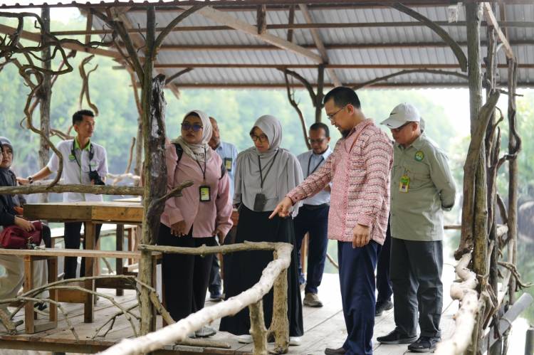 Kolaborasi Dekarbonisasi, PT KPI dan UNRI Teken Kerja Sama Pemeliharaan Mangrove