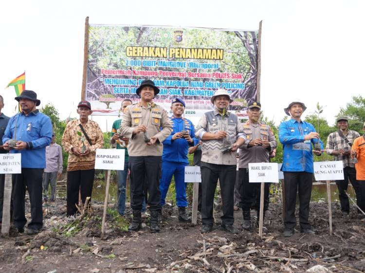 Polres Siak dan Pemkab Siak Tanam 7.000 Bibit Mangrove di Kampung Penyengat
