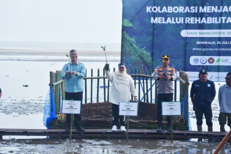 Hari Mangrove Sedunia 2026, Bupati Bengkalis: Perkuat Komitmen Rehabilitasi Pesisir