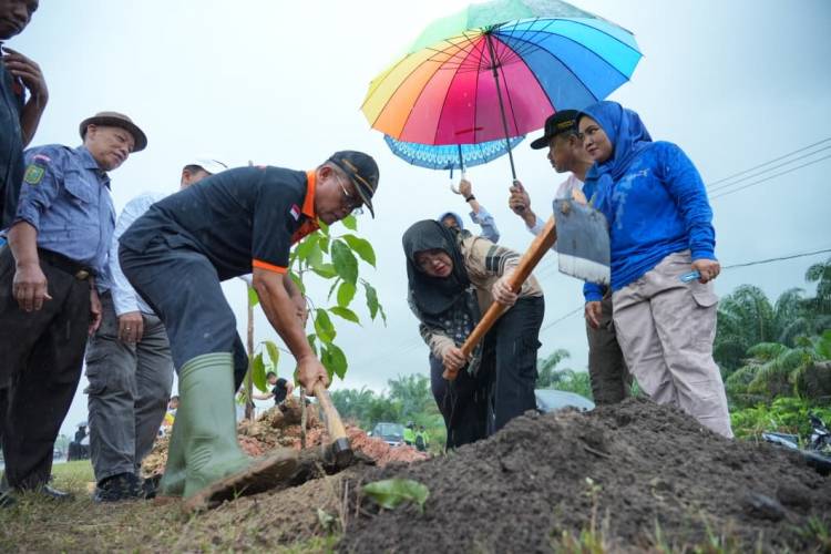 Hujan Tak Surutkan Semangat, Bupati Siak Tanam 5.050 Bibit Pohon