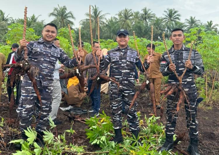 Panen Raya Ubi Kayu Posal Bengkalis Perkuat Ketahanan Pangan Nasional