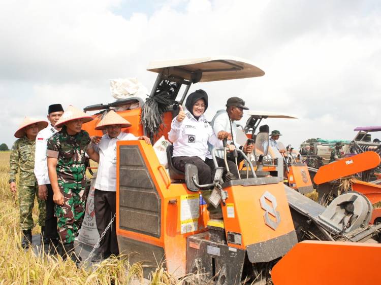 Program Zakat Produktif BAZNAS Siak Berbuah, Mustahik Panen Perdana Padi