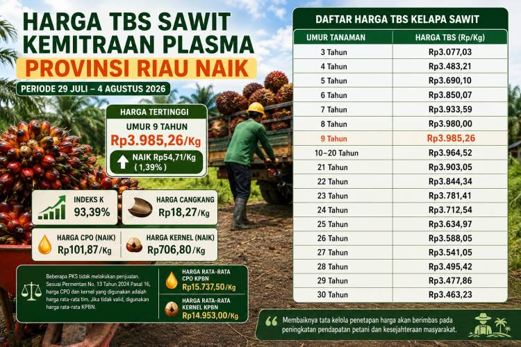 Harga TBS Sawit Riau Periode 29 Juli&ndash;4 Agustus 2026 Naik Rp54,71 per Kg
