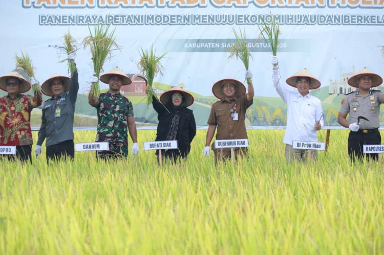 Panen Raya di Siak, Produktivitas Padi Binaan BI Naik 10 Persen