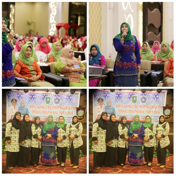 Tim PKK Inhil Ikuti Rapat Konsultasi Tingkat Provinsi Riau 