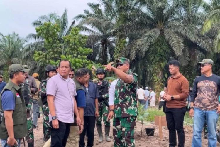 Taman Nasional Tesso Nilo: Antara Hukum, Politik, dan Harapan Hijau