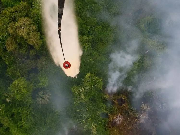 Water Bombing Sisir Karhutla Inhil-Inhu, OMC Digelar di Meranti