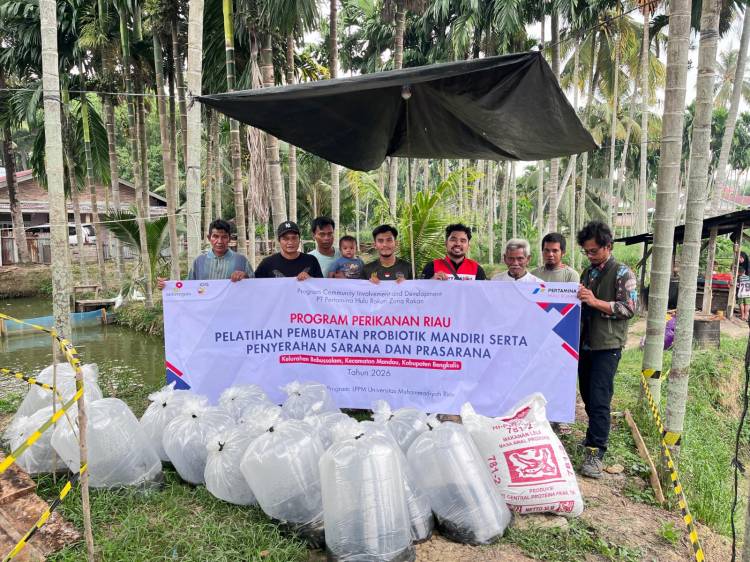 Kisah Feri Hamdan Bangkitkan Semangat Kelompok Tunas Mandiri dalam Budidaya Ikan Patin