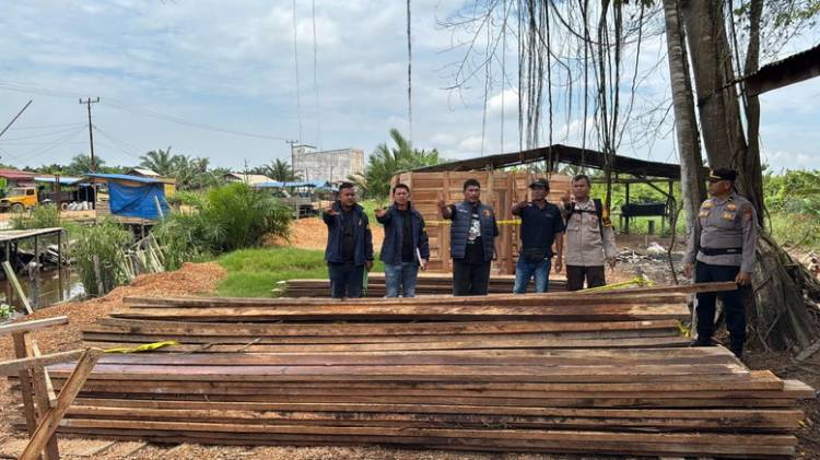 Polres Rohil Amankan Dua Tersangka dan Ratusan Kayu di Sinaboi