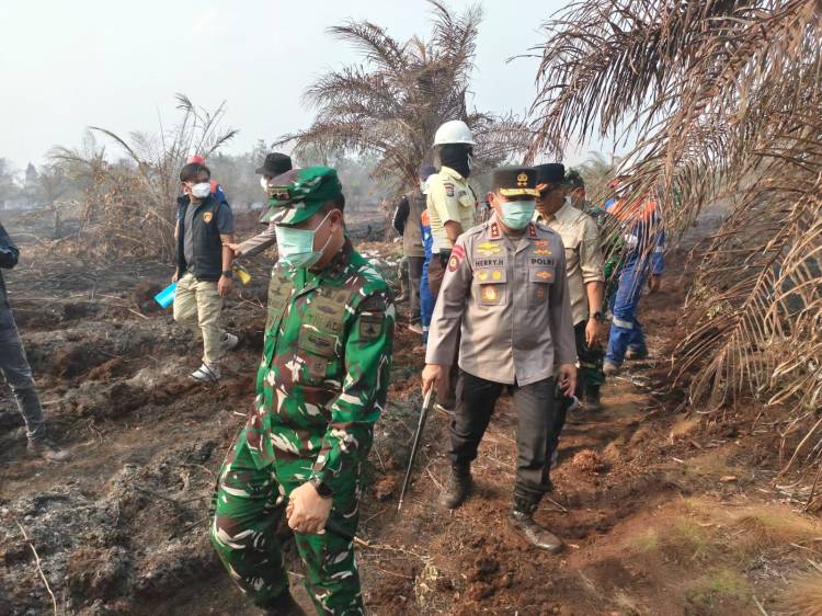 Pangdam dan Kapolda Riau Tinjau Karhutla 34 Hektare di Dayun Siak