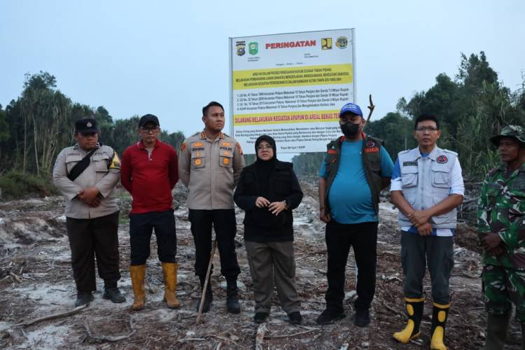 Bupati Siak Pulang Pendidikan, Langsung Cek Karhutla 40 Hektare di Dayun