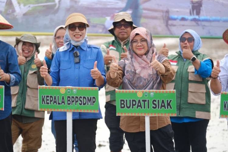 Kementan Tanam Serempak 50.000 Hektare, Siak Soroti Kendala Air Sawah