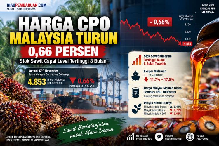 Harga CPO Malaysia Turun 0,66 Persen, Stok Sawit Capai Level Tertinggi 8 Bulan