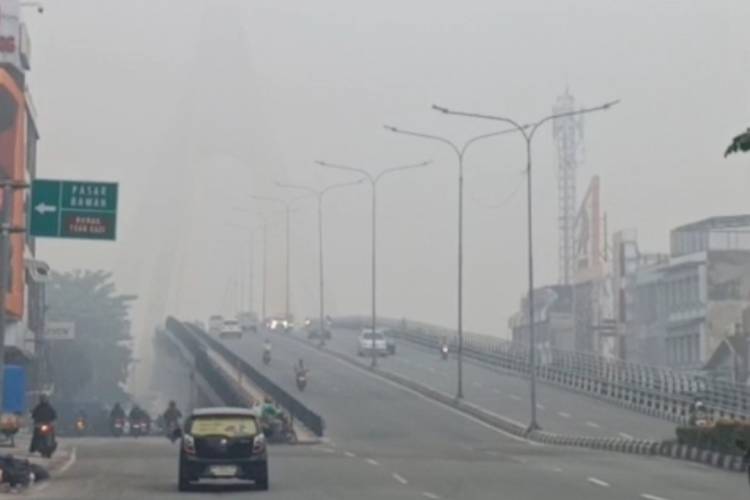 Asap Makin Pekat, PM2.5 Pekanbaru Tembus 215,5 &micro;g/m&sup3;, Udara Sangat Tidak Sehat