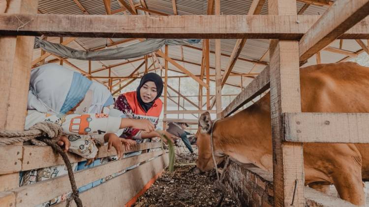 Dari Kandang Sapi ke Kebun Terong, Cara PHR Kenalkan Alam kepada Anak Sejak Dini