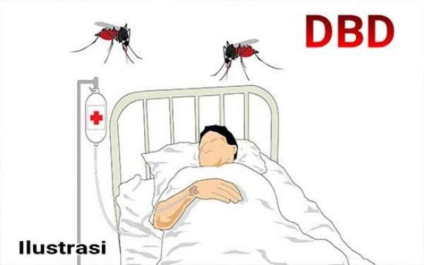 Akibat DBD, 33 Warga Riau Meninggal Dunia