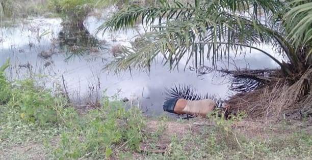 Warga Duri Ditemukan Tewas Terapung di Kanal Sawit