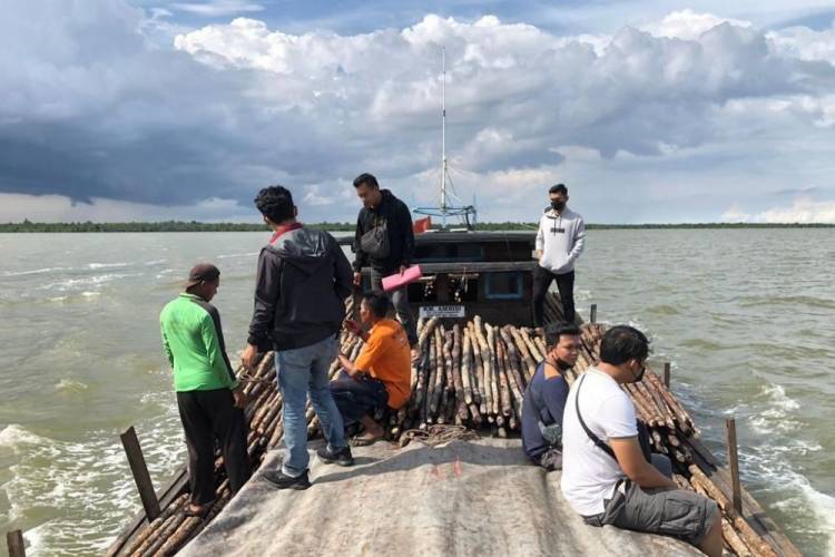 Penyeludupan Kayu Bakau Ilegal Digagalkan Polres Meranti