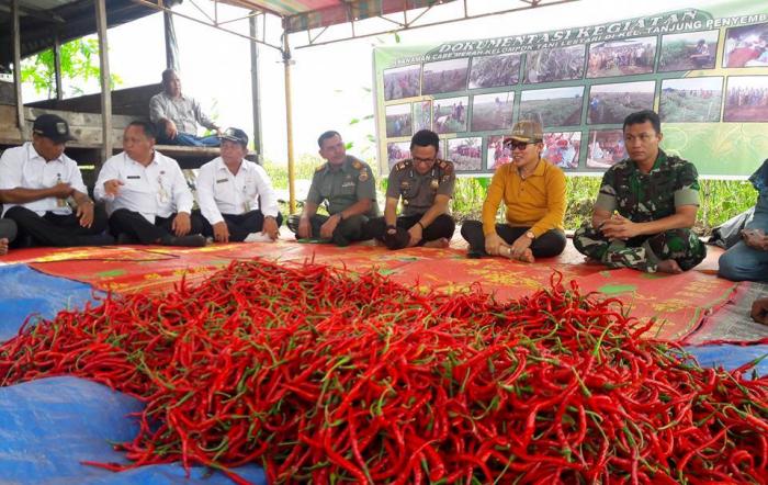 Walikota Dumai Apresiasi Pertanian Cabe Lahan Gambut