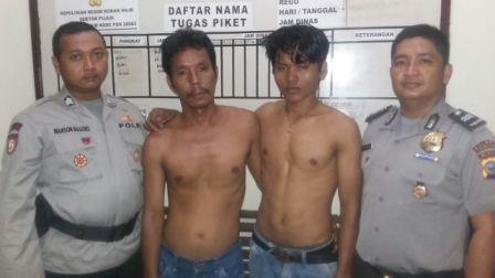 Dua Pencuri Sawit Di Tanjung Medan Rohil Dibekuk Polisi Pujud
